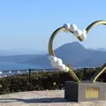 別府湾サービスエリアの写真_429619