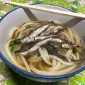 宮川製麺所の写真_430109