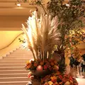 ホテルブレストンコートの写真_430392