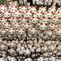 豪徳寺の写真_432045