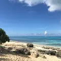 来間島の写真_432541
