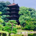 瑠璃光寺の写真_432599