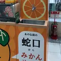 松山空港の写真_434046