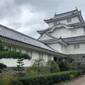 千葉県中央博物館　大多喜城分館の写真_435274