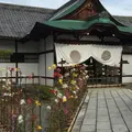 大覚寺の写真_435591