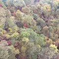 札幌もいわ山ロープウェイの写真_437742