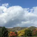 真駒内セキスイハイムアイスアリーナの写真_437858