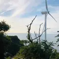 十六島風車公園の写真_444549