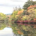 雲場池の写真_447883