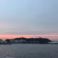 猿島航路の写真_448607