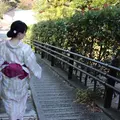 着物レンタルVASARA 金沢駅前店の写真_448732