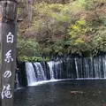 白糸の滝の写真_448747