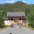仁和寺の写真_449484