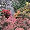国民宿舎 古岩屋荘の写真_450341
