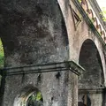 南禅寺の写真_450885