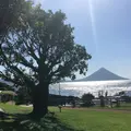 番所鼻自然公園の写真_451043