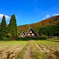 白川郷 かん町付近の写真_451430