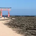 青島神社の写真_452558