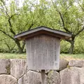 亀山城の写真_452762