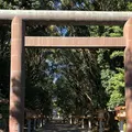 宮崎神宮の写真_453599