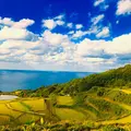 東後畑棚田の写真_453702