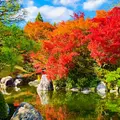 三景園の写真_453708