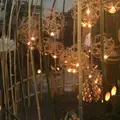 竹原市の写真_454114