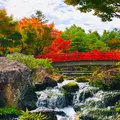 由志園の写真_455338