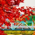 奥津渓の写真_455341