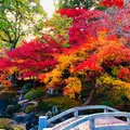 尾関山公園の写真_458222
