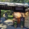 向島百花園の写真_458447