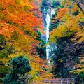 神庭の滝の写真_460484