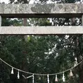 産田神社の写真_460749