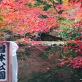 曽木公園の写真_463011