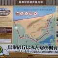 鳥取砂丘の写真_463072
