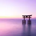 白鬚神社の写真_464041