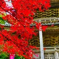 瑞光山 清水寺の写真_464060
