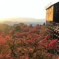 清水寺の写真_464272