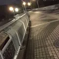 新左近川親水公園の写真_464441