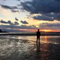 父母ヶ浜海岸の写真_465205