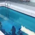 金沢21世紀美術館の写真_465569