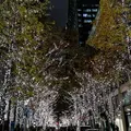 丸の内仲通りの写真_467899