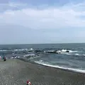 照ヶ崎海岸の写真_469049
