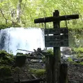 奥入瀬の写真_472592