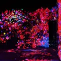 【閉業】森ビルデジタルアートミュージアム：エプソン チームラボボーダレス（MORI Building Digital Art Museum: EPSON teamLab Borderless）の写真_472608