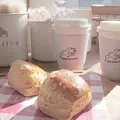 ウミネコ商店の写真_473475