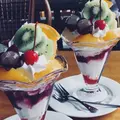テラの写真_473481