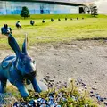 島根県立美術館の写真_474299