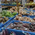 道の駅 ぎのざの写真_475554