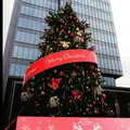 エイベックス株式会社の写真_476014